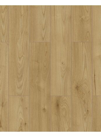 Floorpan Orion Gold Glow​