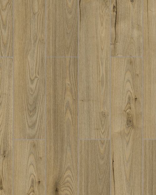 Floorpan Orion Gold Spark