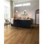 Quick-Step Impressive Spotted Gum Laminat Parke