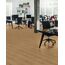 Egger Bal Cadiz Meşe Laminat Parke